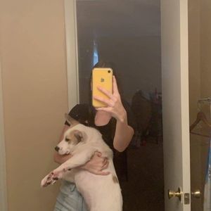 Meet your Posher, Cynthia